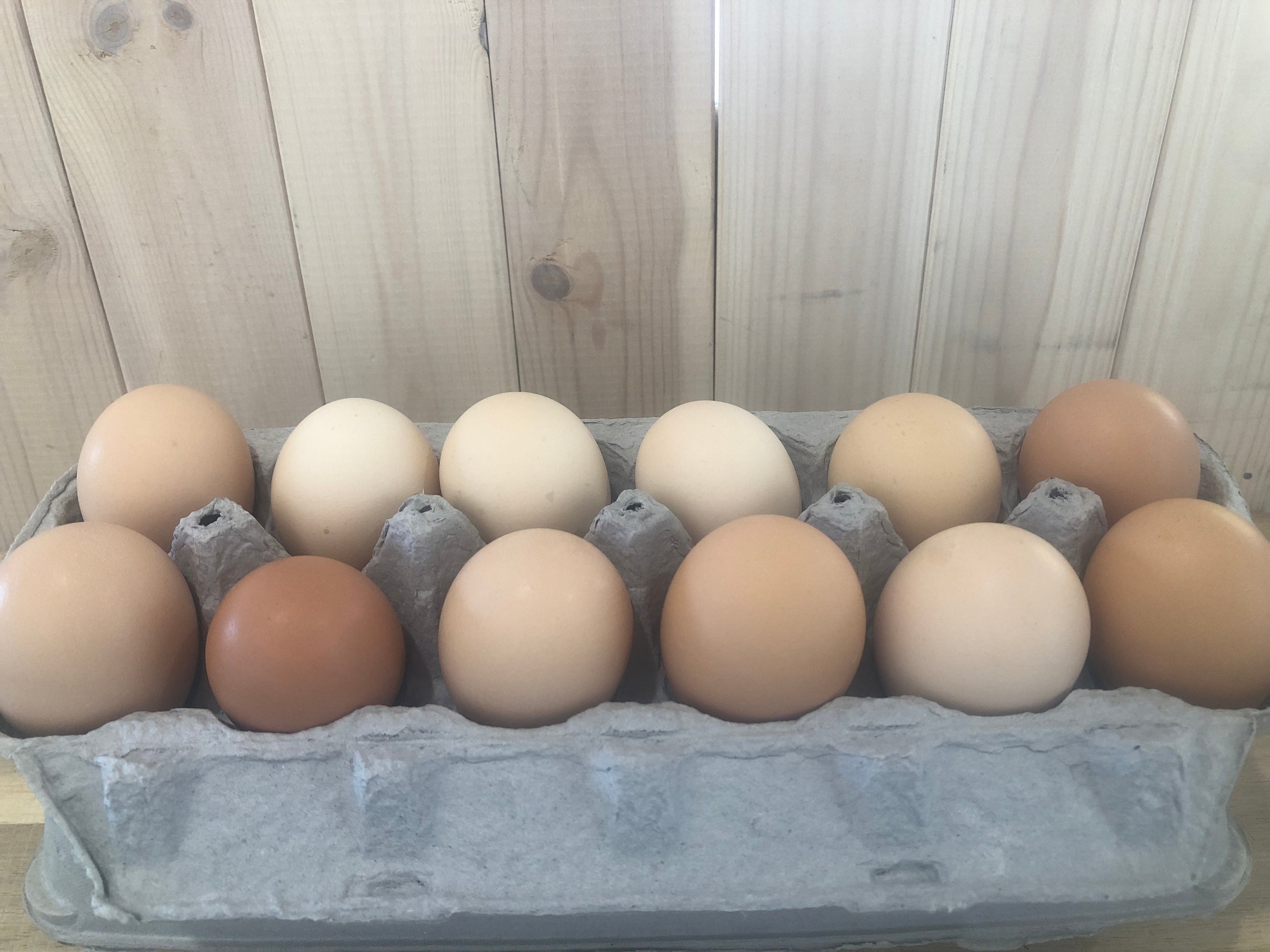 Nest Run Eggs