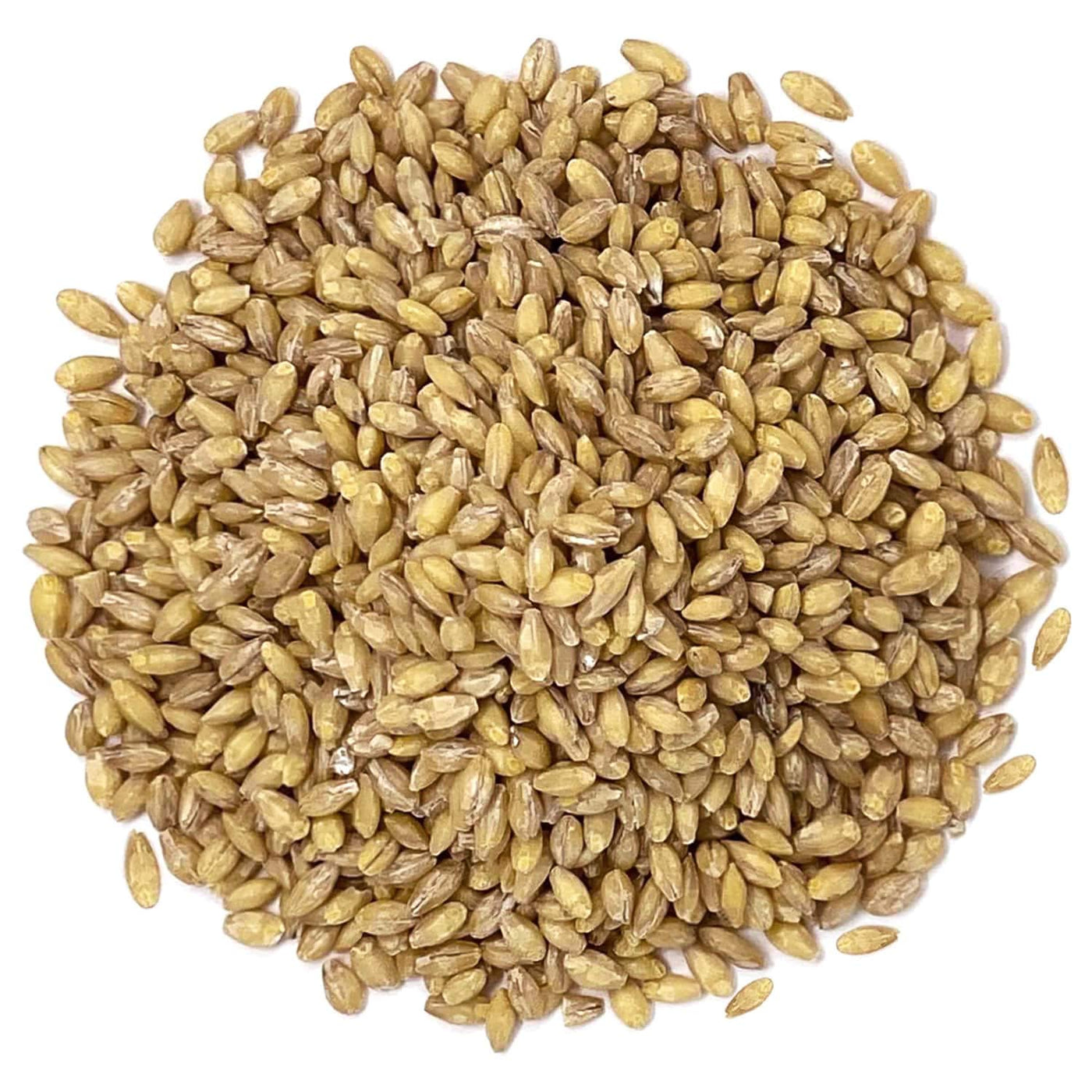 Organic Hulled Barley