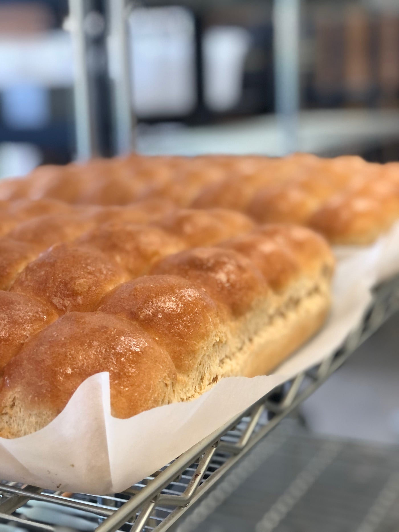 Butter Honey Wheat Dinner Rolls