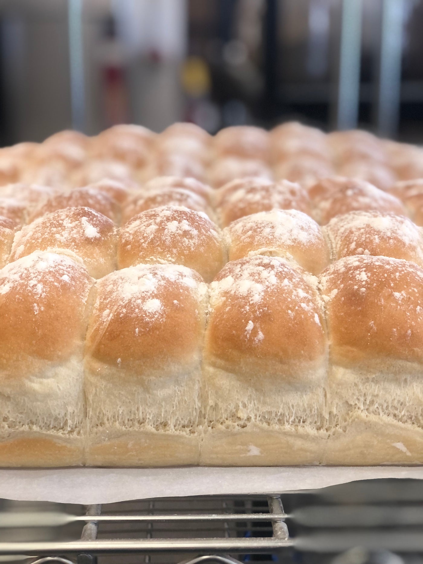 White Dinner Rolls