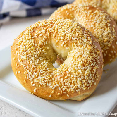 Sesame Bagels