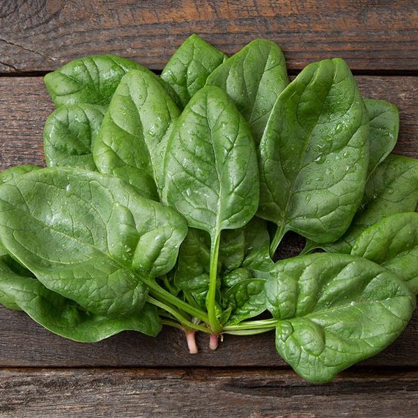 Spinach