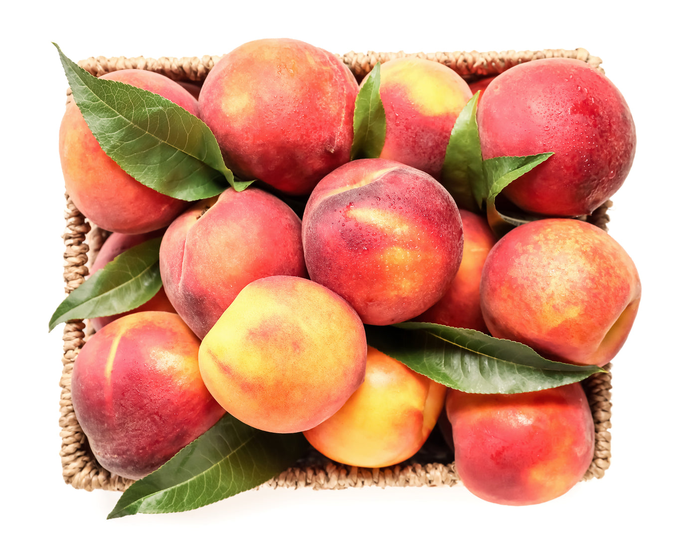 Utah Peaches-Premium