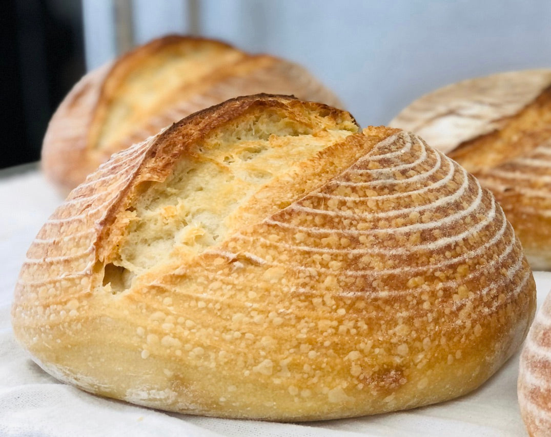 Sourdough Round