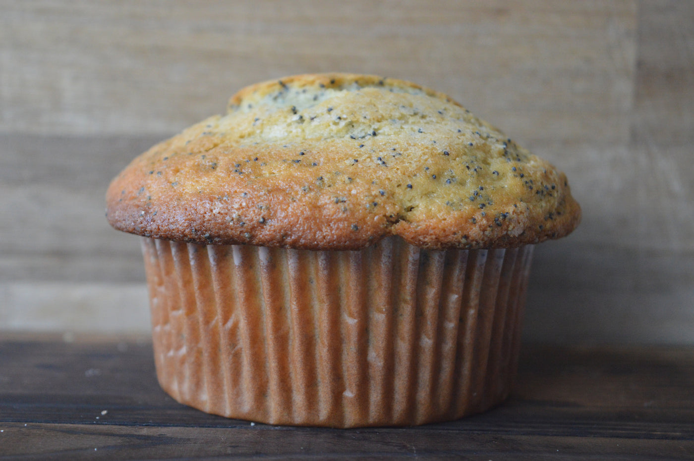 almond poppyseed muffin close up copyrighted message