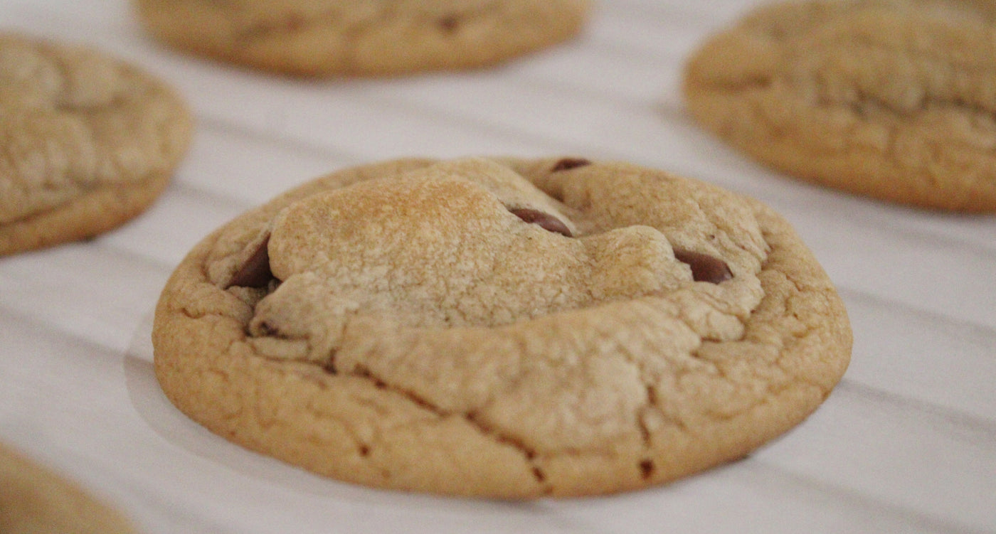 close up peanut butter chocolate chip cookie copyrighted image