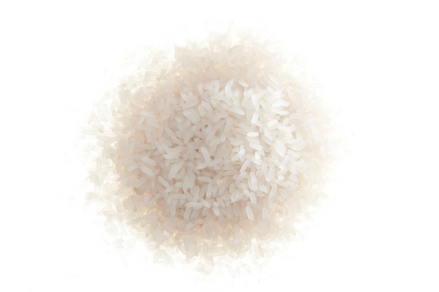 White Rice